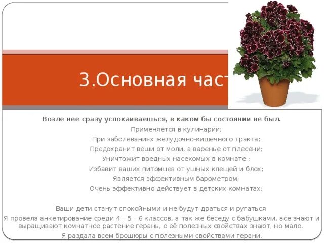 Герань польза и вред в доме. Герань полезные свойства. Герань комнатная характеристика. Герань комнатная лечебные свойства. Полезные свойства герани комнатной.