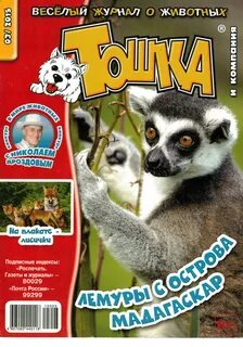Журнал тошка