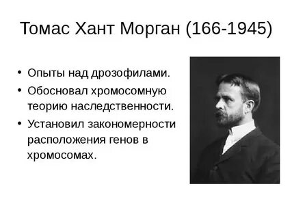 Т морган кратко