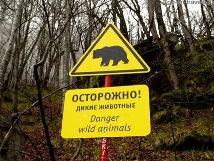 Опасности диких