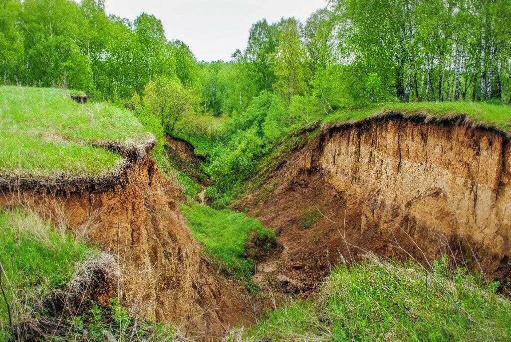 Низина земли. Овраг. Буерак овраг. Огромный овраг. Склон оврага.