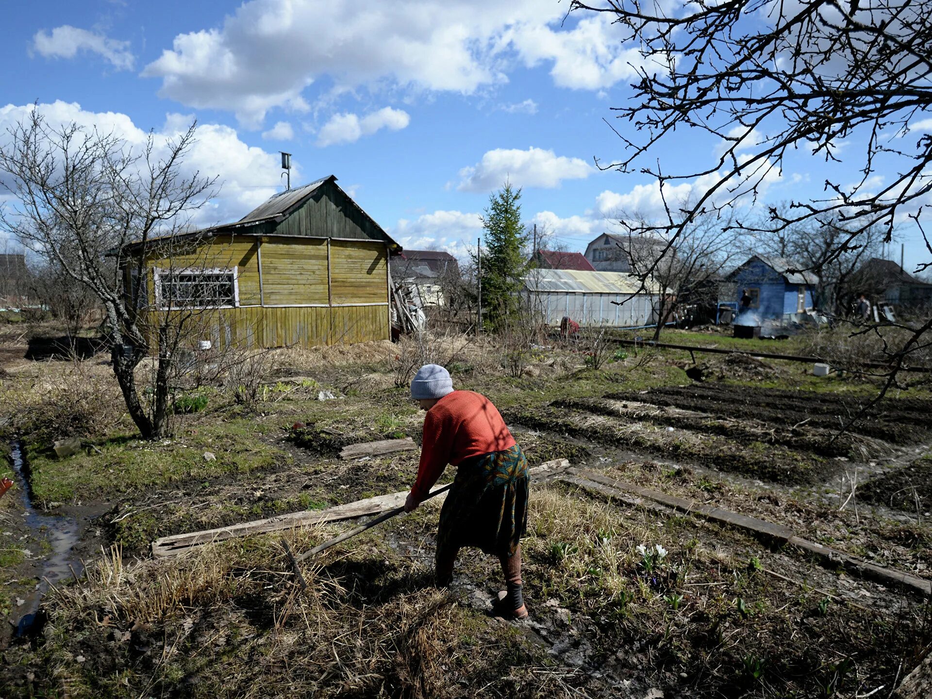 Что грозит за дачу. Пенсионеры на даче. Дачные участки россиян. Дачи россиян. Дачник.