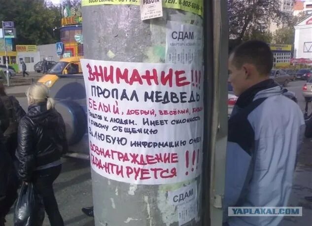 Друзья не заблудятся