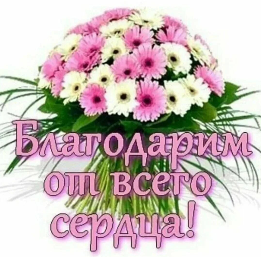 Медаль за терпение. Спасибо за терпение и понимание. Спасибо за заботу и терпение. Спасибо за заботу и терпение. Спасибо за ваш труд и терпение учителю.