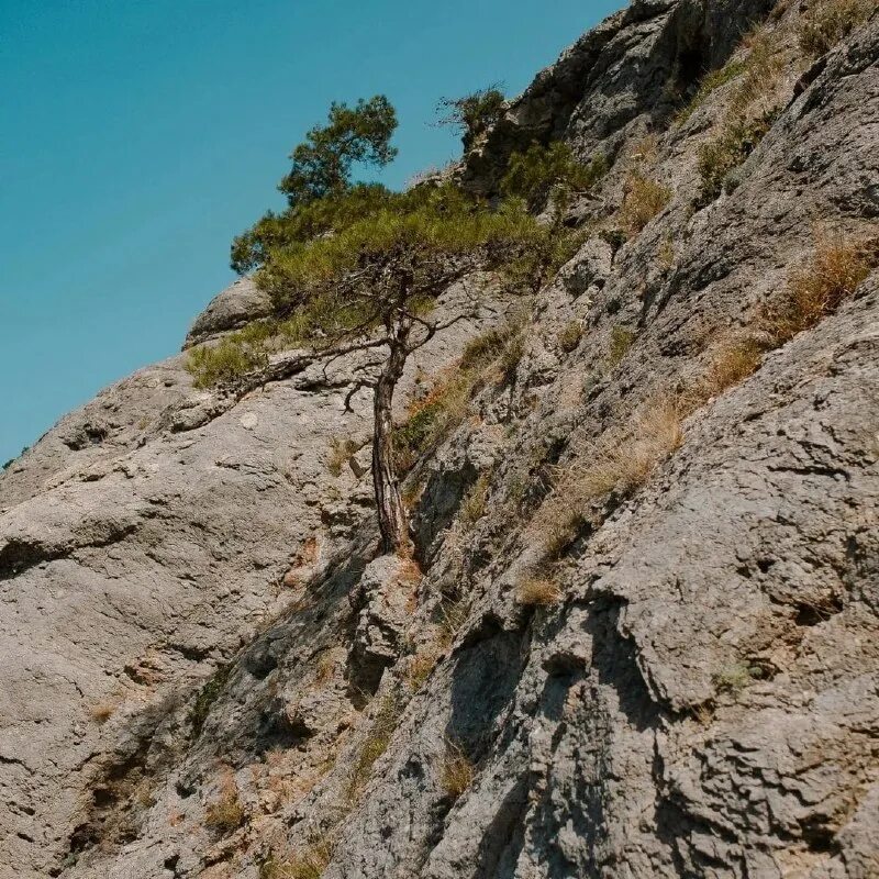 Чудо в крыму 2015. Чудо в крыму фильм. Чудо в крыму 2015 кадры из фильма. Крым фильм 2017. Чудо в крыму 2015.