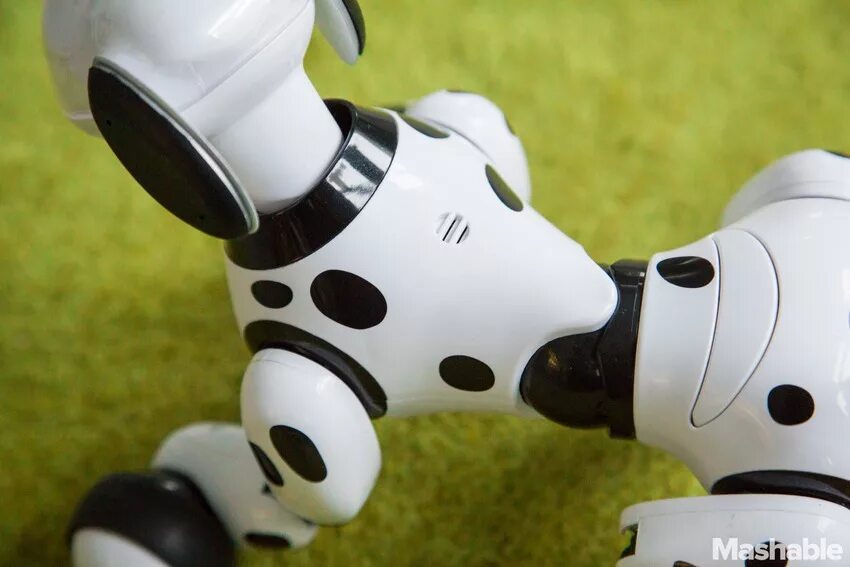 Робот собака zoomer. Робот собака зуммер шедоу. Toys зуммер. Zoomer ge. Zoomer 2.