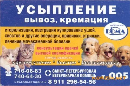 Усыпление животных на дому. Усыпление животных с вывозом. Кремация в ветеринарной клинике. Усыпление и кремация животных. Усыпление животных с вывозом.