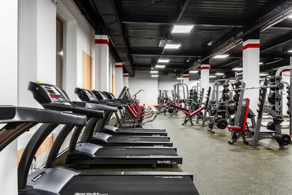 Фитнес клуб богатырь. Тренажерный зал три богатыря воронеж. Богатырь, красноярск, улица дзержинского. Фитнес клуб богатырь. Фитнес клуб богатырь.