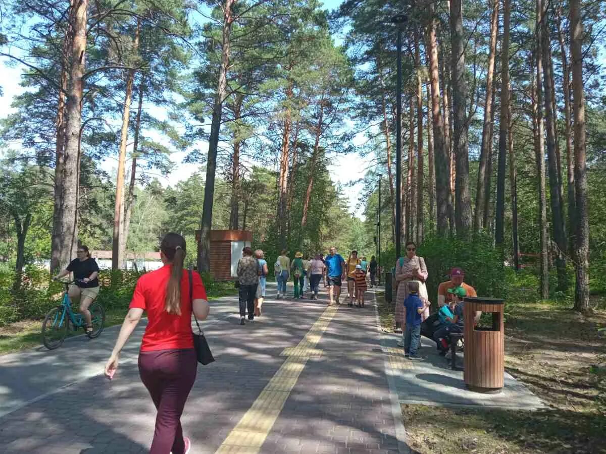 Бассейн в заельцовском парке