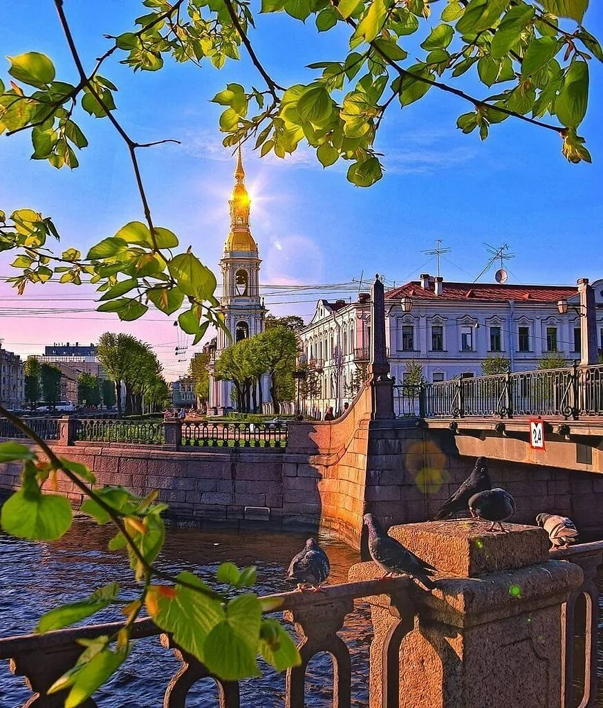 Утренний санкт петербург. Семимостье в Санкт-Петербурге. Доброе утро Питер канал Крюков. Солнечное (Санкт-Петербург). Санкт-Петербург Солнечный летний.