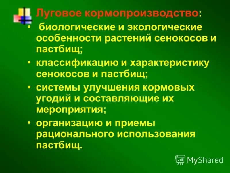 адаптивное кормопроизводство