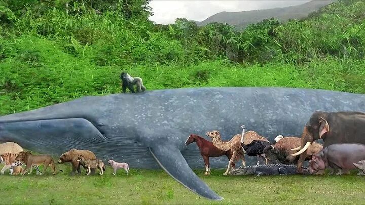 Масса самого большого животного на земле. Гигантские существа на земле. Самых больших существ на земле. Самое огромное животное на земле. Самый большой зверь на земле.