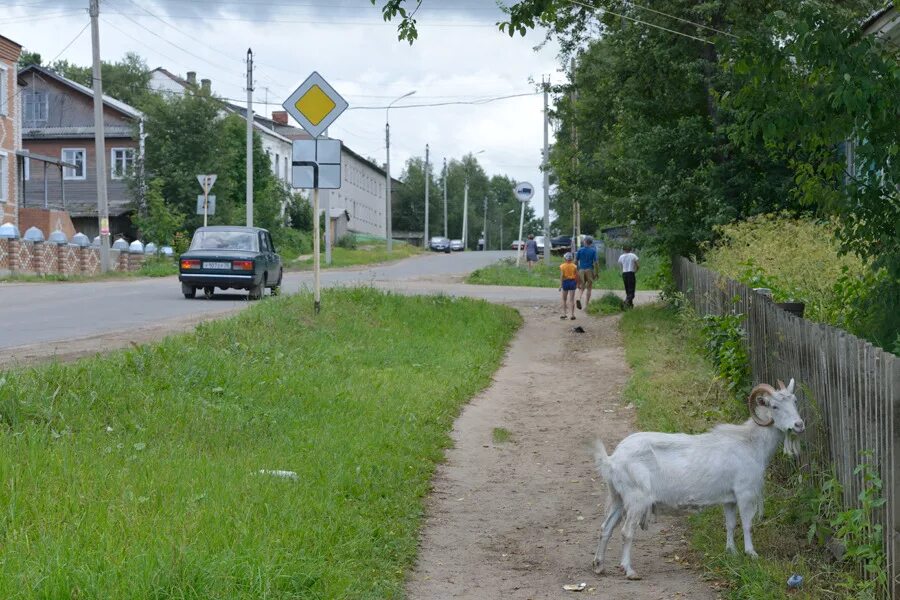 Никольск вологодской вологда. Сретенский собор никольск вологодская. Природа город никольск - вологодская область. Никольск 1 школа 1 вологодская область. Сретенский собор никольск вологодская область.