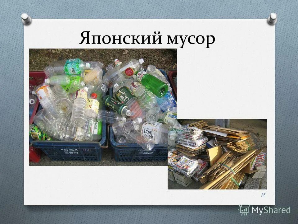 картинки на тему мусор. проект на тему мусорное искусство 7 класс. презентация мусорная еда. проект на тему мусорное искусство 7 класс. мусор для презентации.