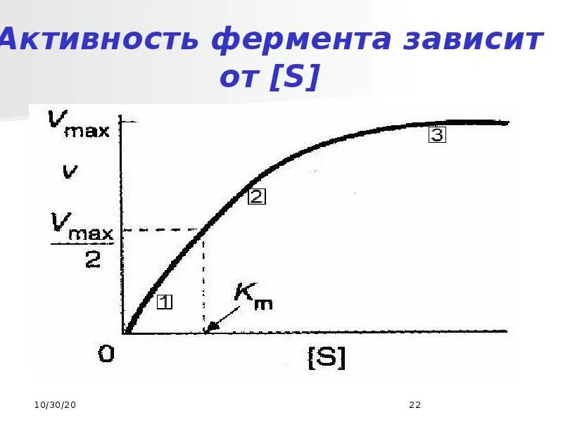 Активность фермента зависит от. Активность ферментов. Активность ферментов зависит от. Активность амилазы зависит от. График активности фермента.