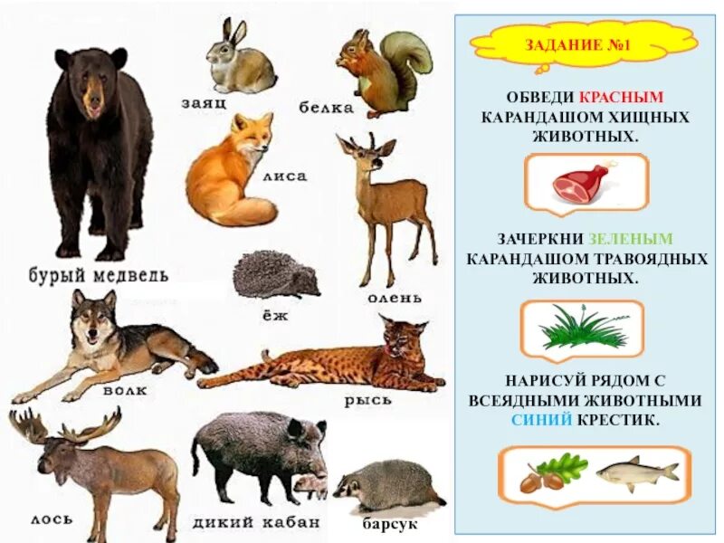 Каким животным относится лиса травоядные всеядные. Хищные и травоядные животные. дикие животные хищники и травоядные. травоядные плотоядные и всеядные животные. хищные и травоядные животные для детей.