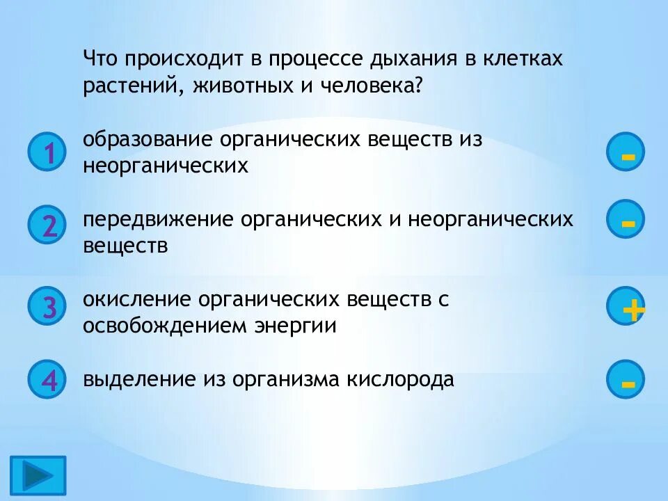 Что происходит при вдохе человека. Что происходит при вдохе человека