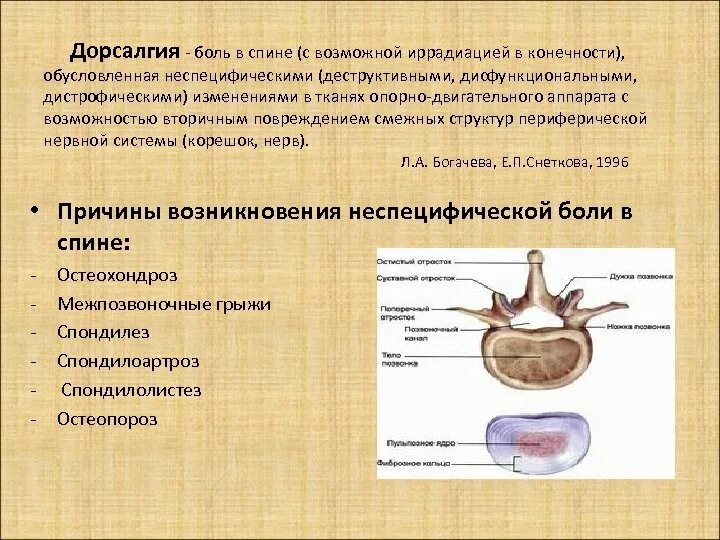 Дорсалгия шейного