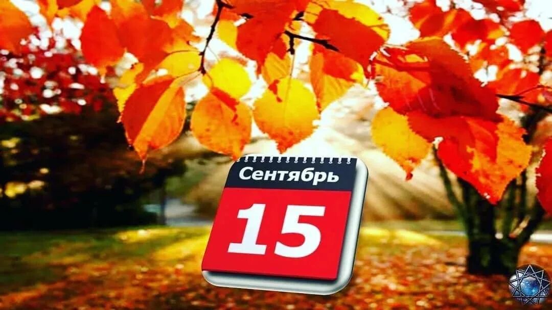 15 Сентября. 15 Сентября праздник. 15 Сентября календарь. Календарь сентябрь.