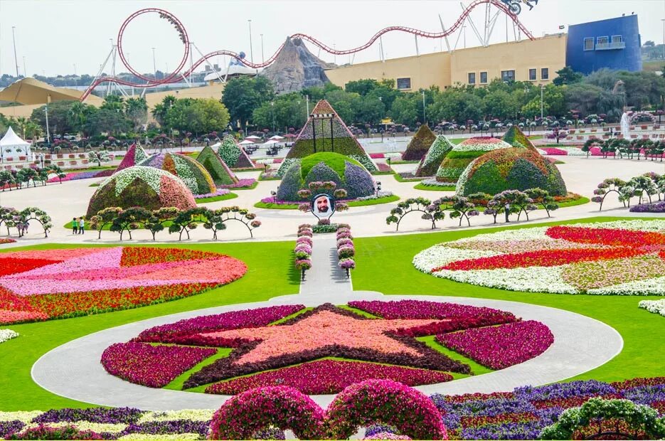 Дубайский парк. Парк Миракл Гарден Дубай. Парк цветов Miracle Garden (ОАЭ, Дубаи). Сад в Дубае Миракл Гарден. Парк цветов Dubai Miracle Garden (сад чудес).