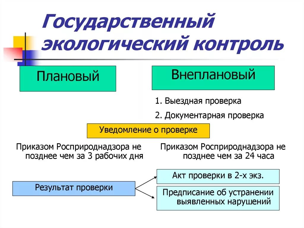 Виды государственного экологического контроля. Структура государственного экологического контроля. Государственный экологический. Виды экологического контроля схема.