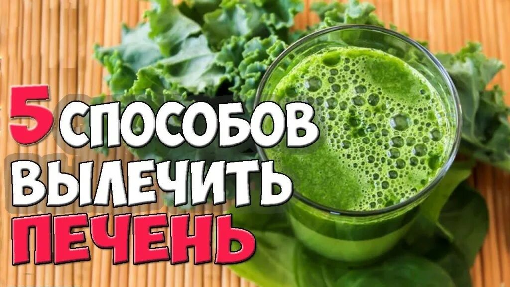 Как полечить печень. Лечение печени в домашних условиях. как вылечить печень в домашних условиях. как можно лечить печень в домашних условиях.