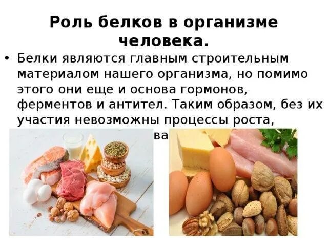 Функции растительного белка. Значение белков в организме человека функции. роль животного белка в организме человека. роль бедков в организм. роль белков d организме.