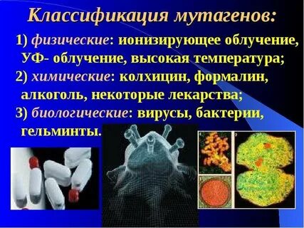 Биологические мутационные факторы
