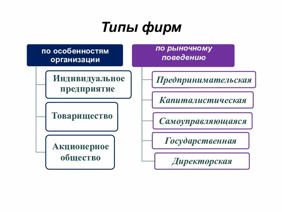 Эффективность предприятия обществознание. Виды предприятий в рыночной экономике. Виды фирм в рыночной экономике. Виды фирм в экономике. Типы фирм в рыночной экономике.