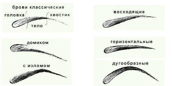 Что означают брови