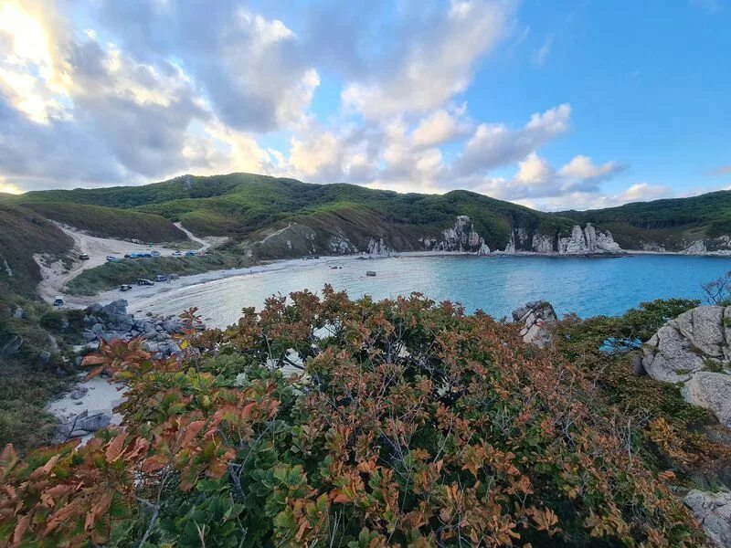 Бухта читувай приморский край. Находка бухта находка. Бухта находка. Читувай г. Фауна бухты находка.