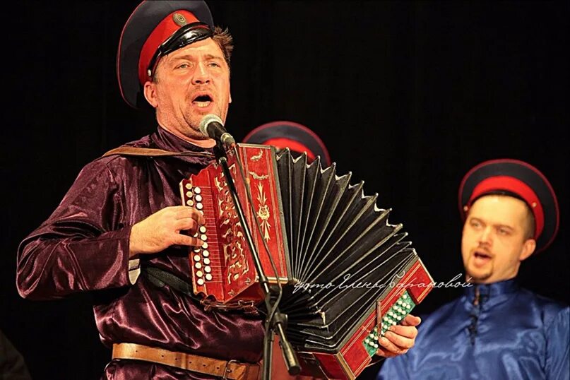 Щербаков гармонь. Гармошка казаков. Казак с гармошкой. Казак гармонист. Казак с гармонью.