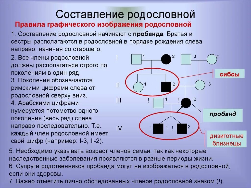 Наследование признаков у человека 9 класс презентация. Составление родословной. Составление родословности. Принцип составления родословных. Методы составления родословной.