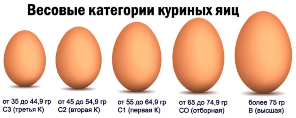 Чем отличается куриное