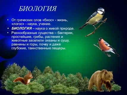Наука о живой природе это