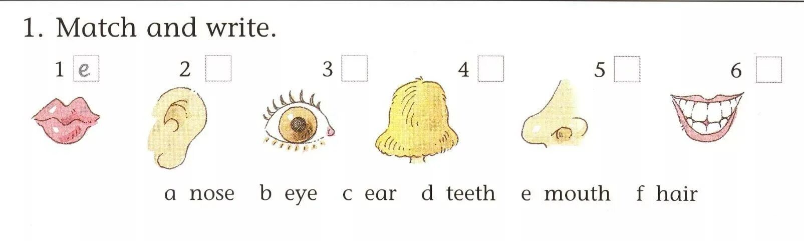 Задания по английскому языку части тела. Упражнения по английскому языку по теме части лица. Задания по теме части тела на английском. Задания части лица класс.