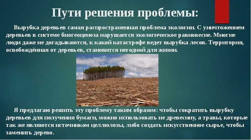 Уничтожение тропических лесов пути решения. Решение проблемы вырубки лесов. Вырубка лесов пути решения проблемы. Способы решения проблемы вырубки лесов.