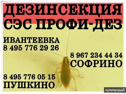 Сэс пушкино
