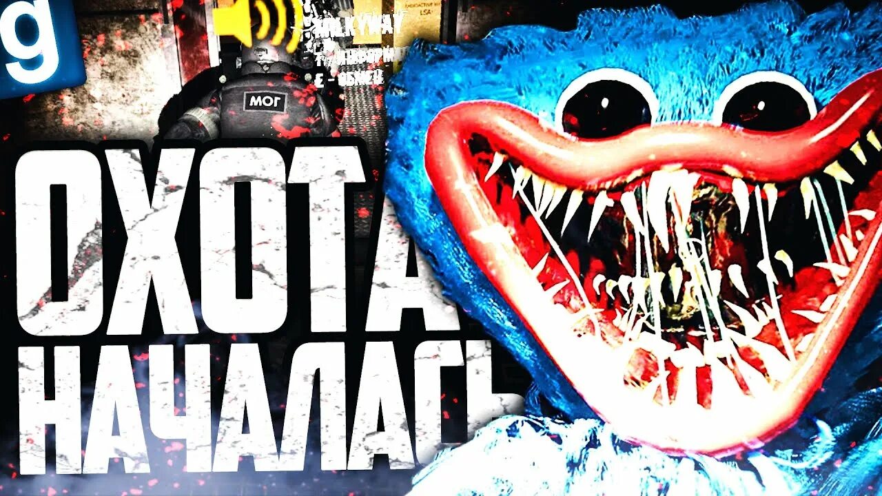 Scp 137. Scp 993.