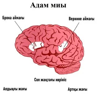 Жіңішке яои порно