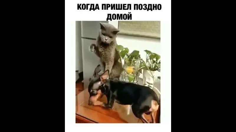 Поздно возвращаюсь с работы. Приходить домой поздно. когда пришла домой поздно. муж пришел поздно. жена пришла поздно.