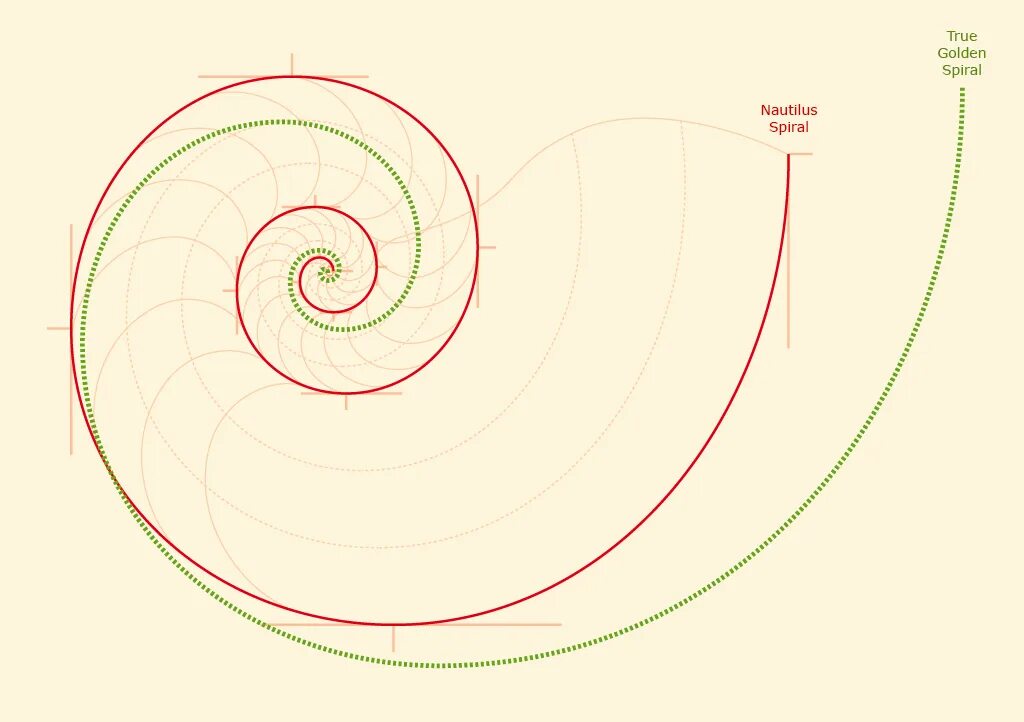 Раскручивающаяся спираль. Спиральный градиент. Кэрол грейвз спиральная динамика. Спираль рисунок. Спираль уровней развития.