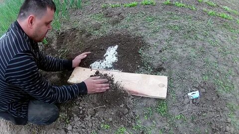 Рабочий способ ютуб