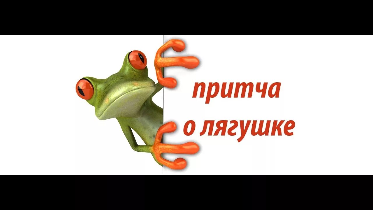 Притча о двух лягушках. Притча о двух лягушках. Сказка о двух лягушках попавших в кувшин. Притча о двух лягушках. Притча о двух лягушках.