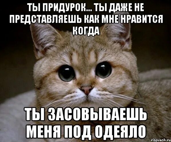Ты даже не представляешь песня. Люблю тебя придурок. ты даже не представляешь как я тебя люблю. ты даже не представляешь. я люблю придурков.
