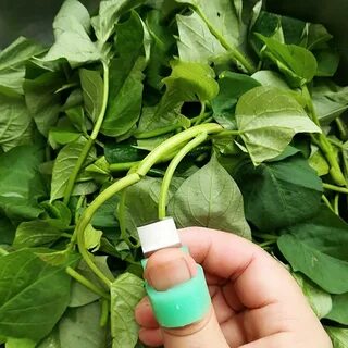 Fast picking