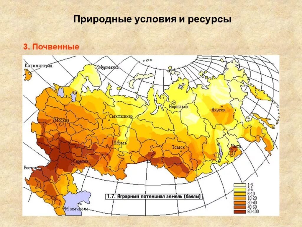 В каком районе наиболее плодородные почвы. Плодородные почвы России на карте. Карта плодородия почв России. Карта плодородности почв России. Почвенные ресурсы России карта.