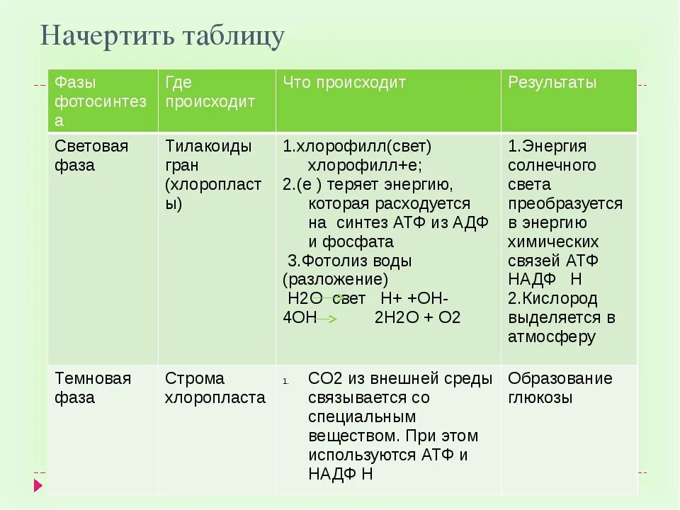 2 в темновую фазу происходит. Фотосинтез световая фаза и темновая фаза таблица. Световая и темновая фаза фотосинтеза. Световая и темновая фаза фотосинтеза ЕГЭ. Световая фаза и темновая фаза таблица.