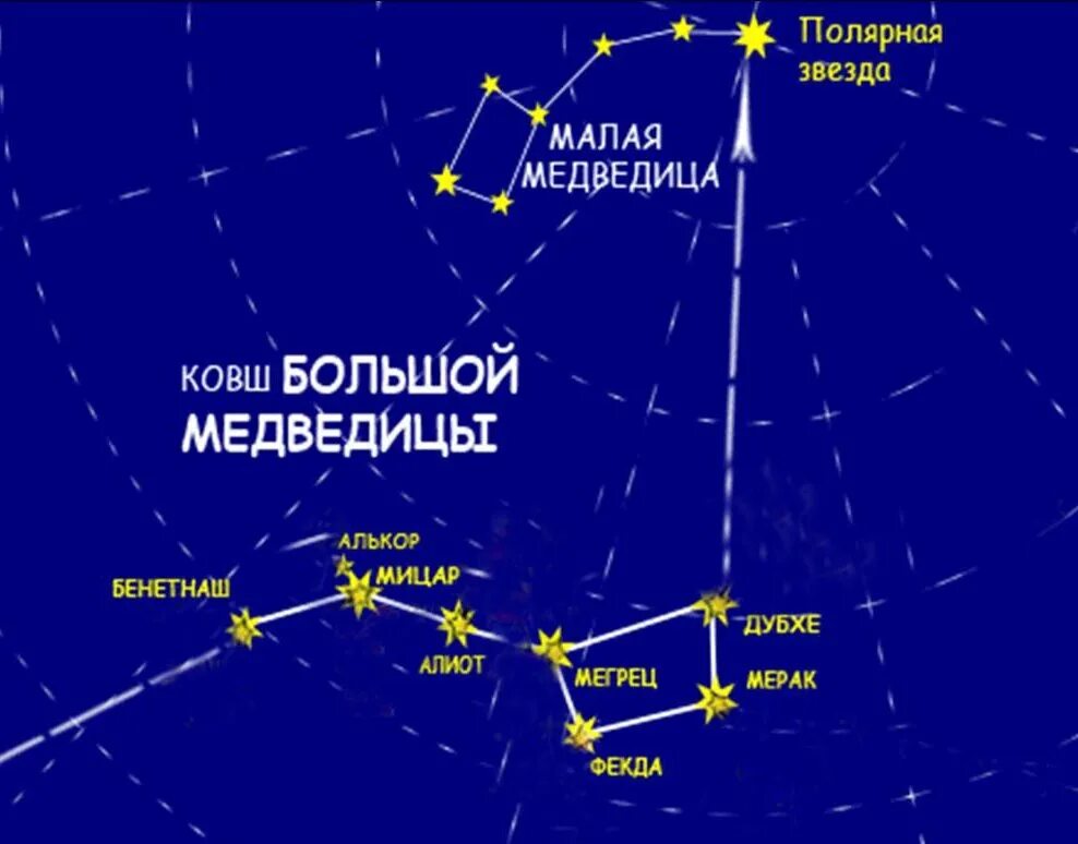 Зона северная звезда где находится в россии. Полярная звезда малой и большой медведицы. Полярная звезда и Сириус в малой Медведице. Полярная звезда относительно малой медведицы. Большую медведицу полярную звезду и малую медведицу.