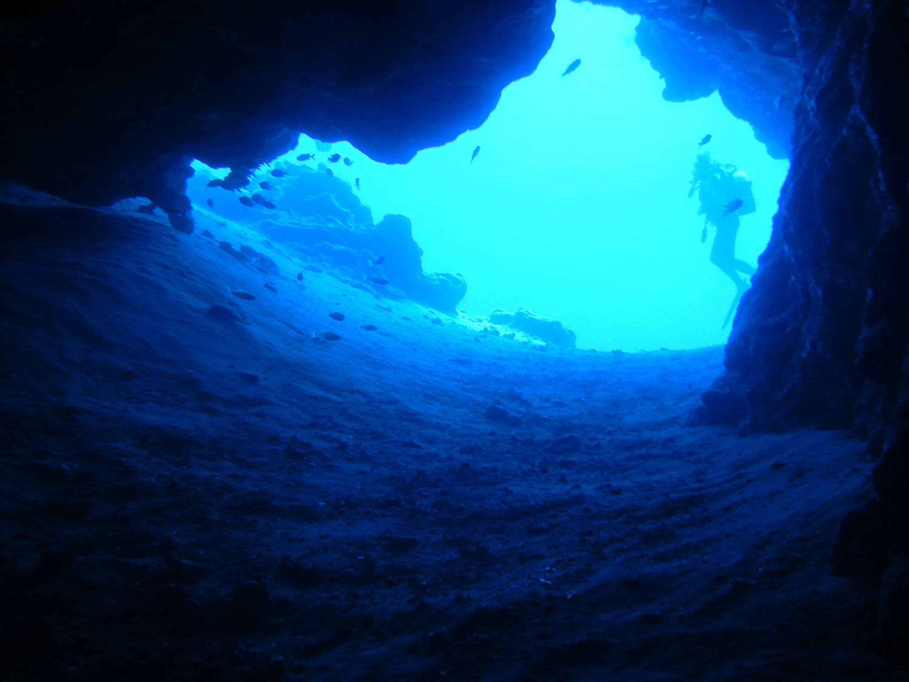 Кейв дайвинг Тарханкут. Мексика Сеноты дайвинг. Ординская пещера карта дайвинг. Подводная пещера. Как убрать воду в пещере